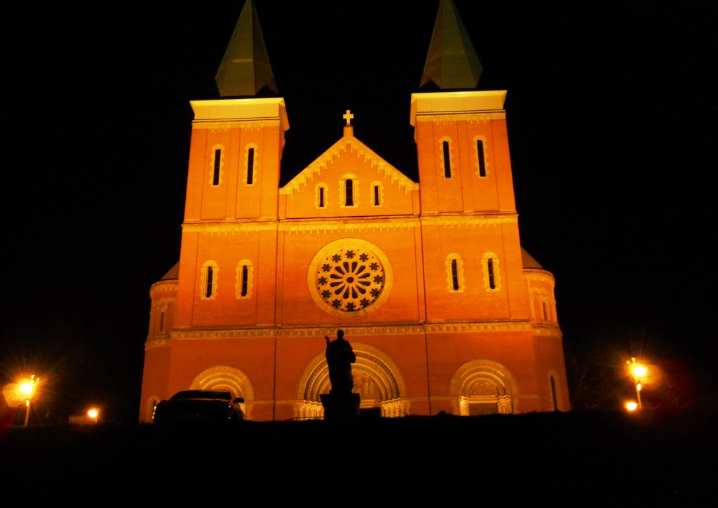 St. Vincent Basilica, Латроб