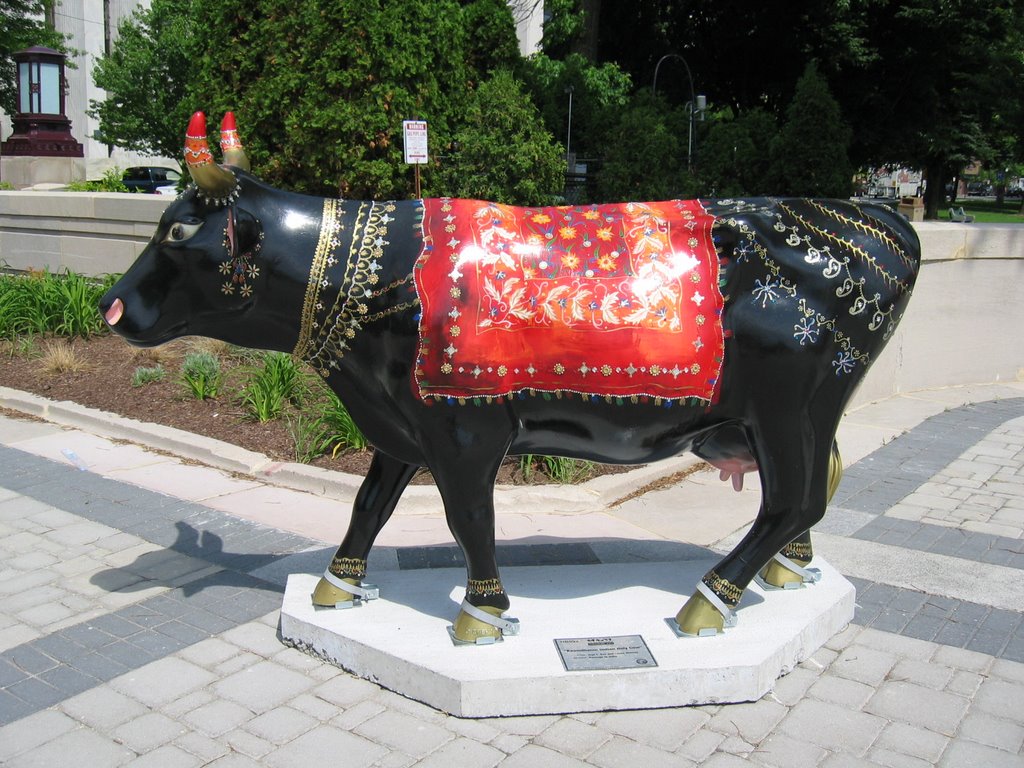 Kaamdhenu - Indian Holy Cow (1), Лемойн