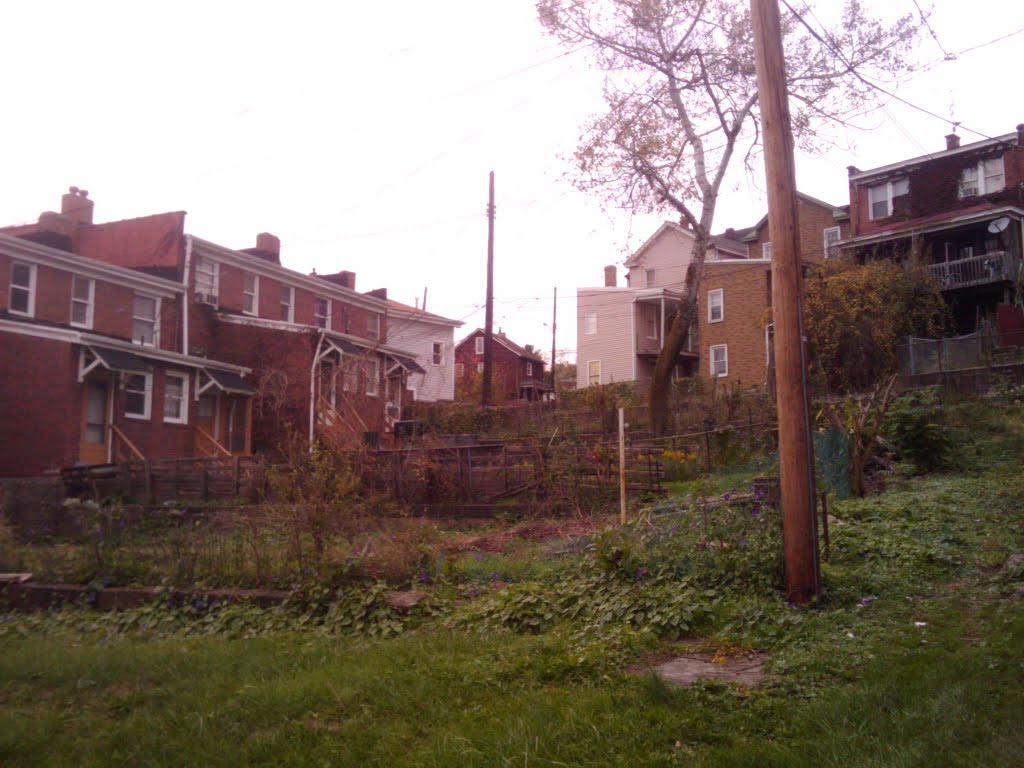 Why cant someone improve their backyard., please., Мак-Кис-Рокс