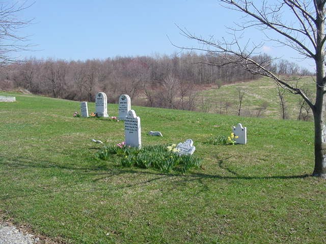 Rose Graveyard, Марианна