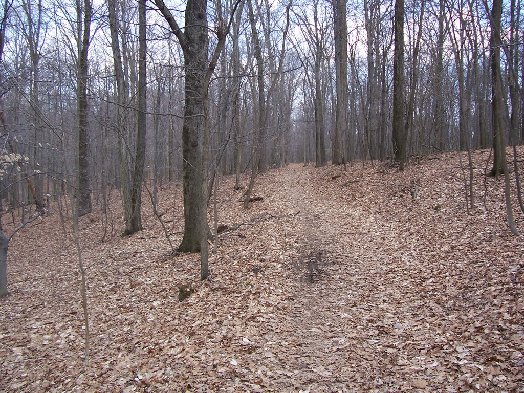 Horse-Shoe Trail on Governor Dick, Маунт-Гретна