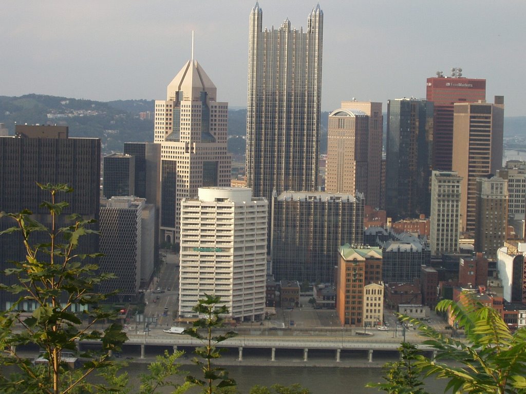 Pittsburgh Skyline as viewed from Mt. Washington, Маунт-Оливер