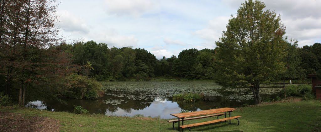 Garden Pond Panorama, Меридиан