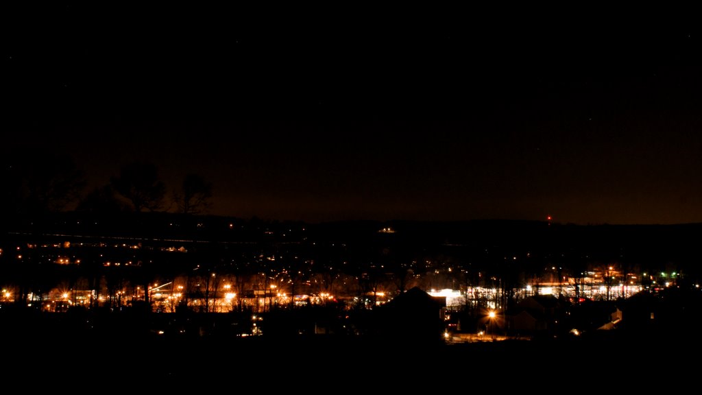 Night Lights, Модена
