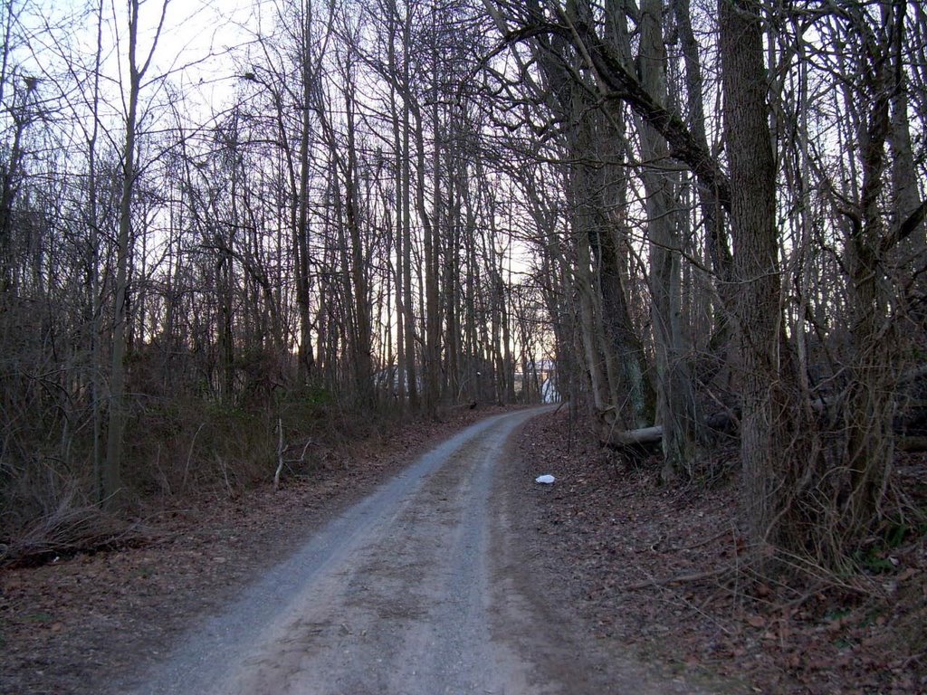 Lost Trail Road, Модена