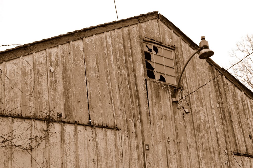 Old barn in Wagontown, Модена