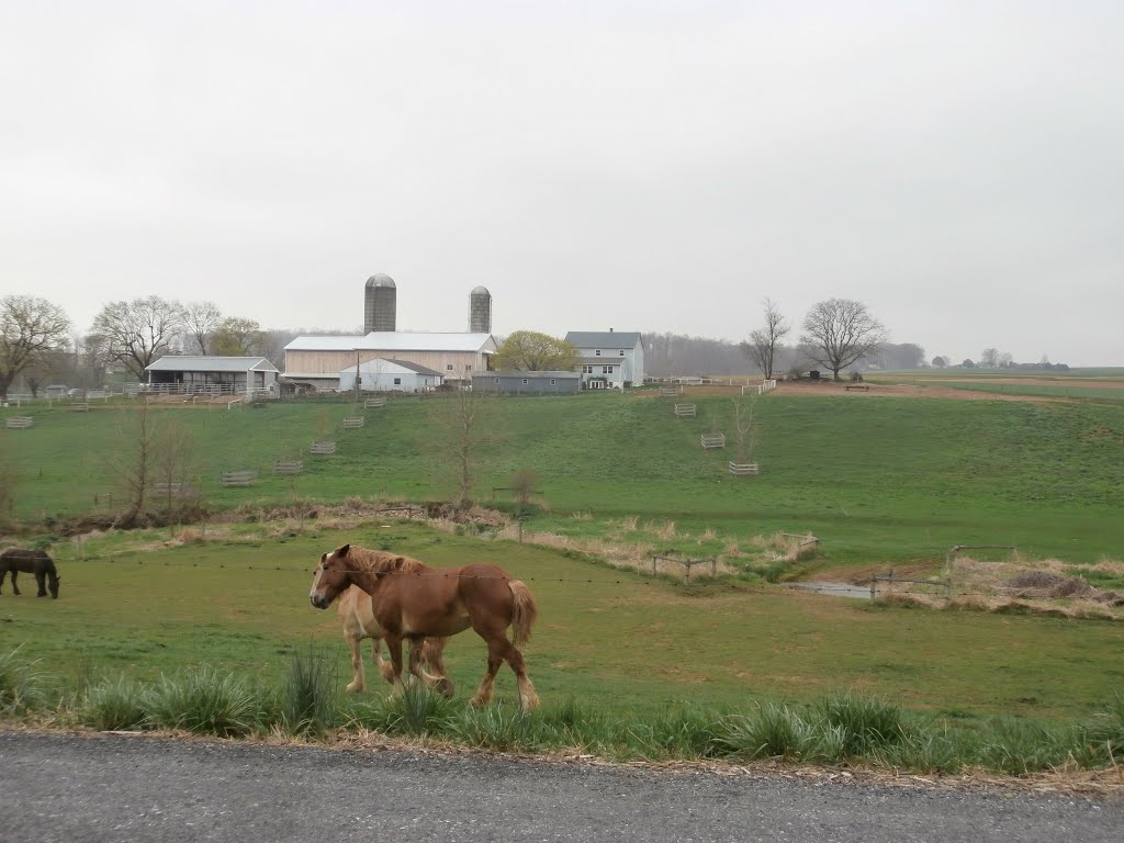 Horse farm on Doe Run Church Rd., Модена