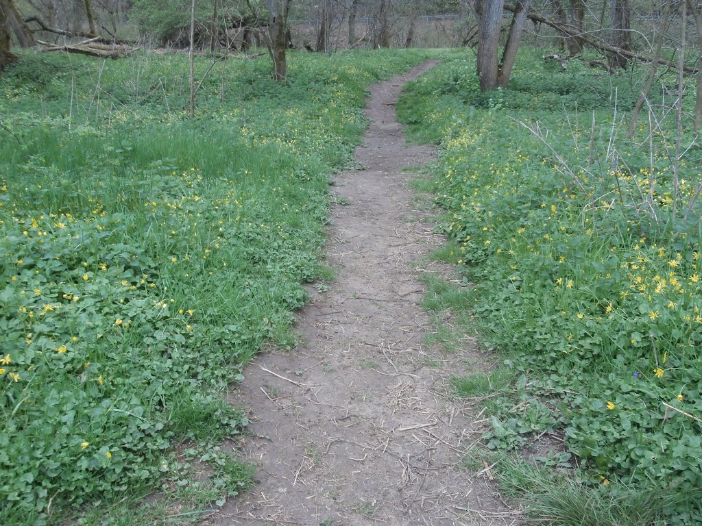 Path to the Brandywine Creek lined with wildflowers, Модена