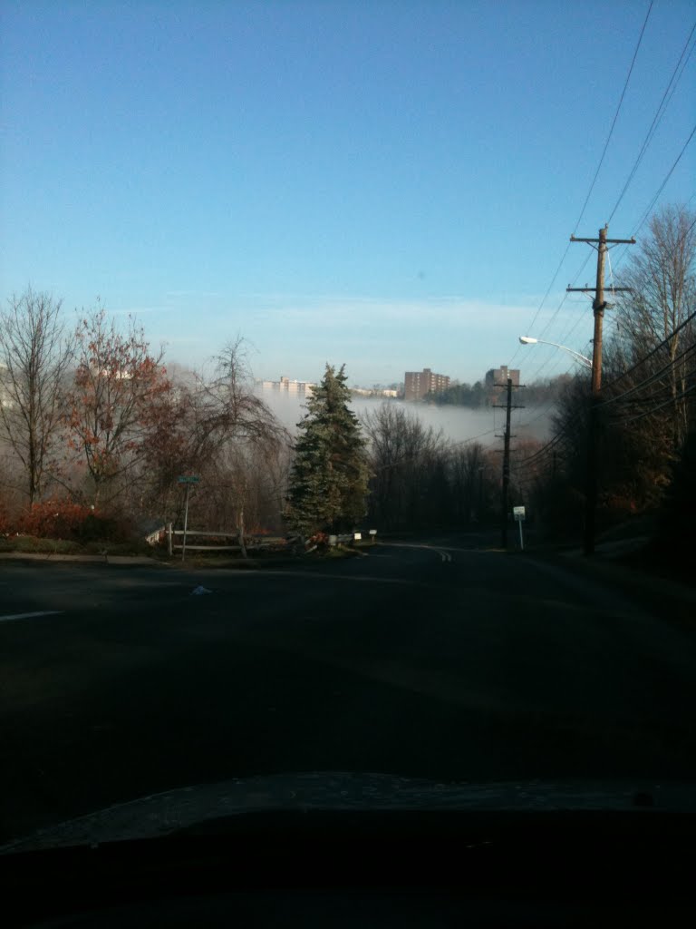 Morning fog in Monroeville, Монровилл
