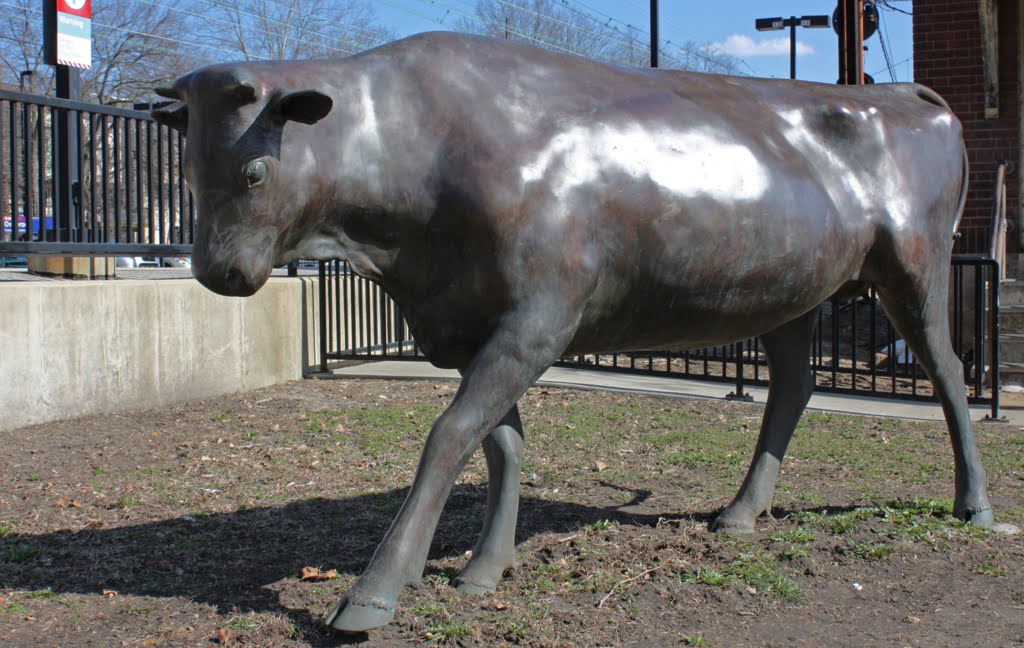 Cow sculpture, Overbrook SEPTA station, Philadelphia, PA, Нарберт