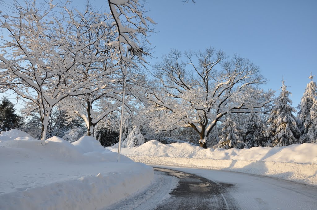 2010 winter scene in Saint Davids, PA, Раднор