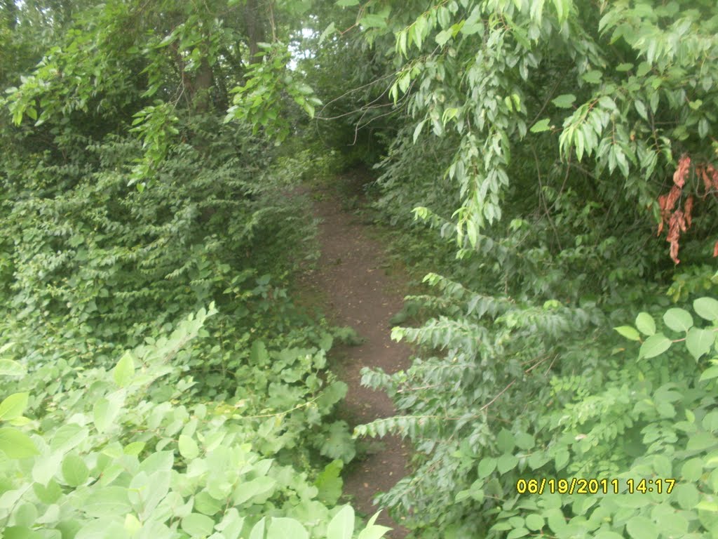 Memorial Park Back Trail, Ранкин