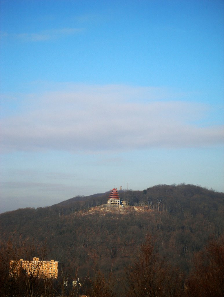 Reading Pagoda in the Winter, Ридинг
