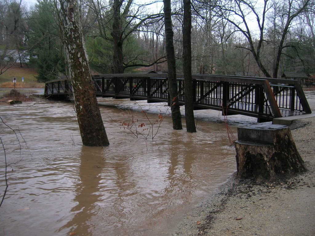 Pennypack High Water at Lorimer, Рокледж