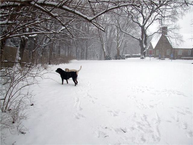 Church in Winter, Рокледж