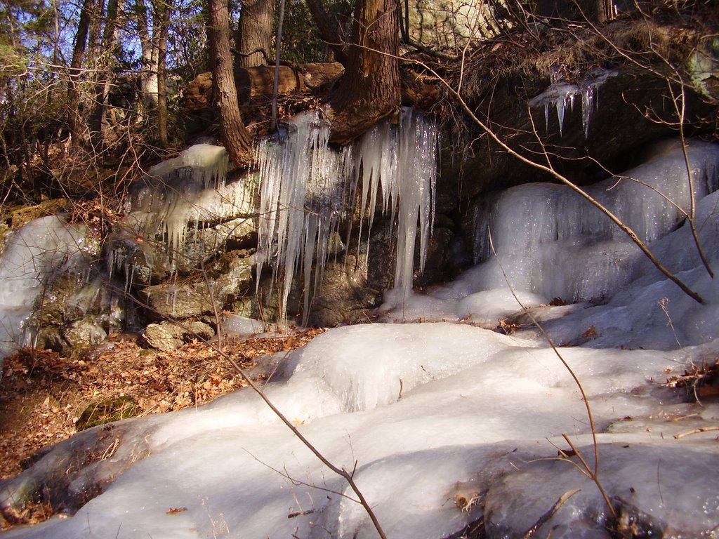 Frozen groundwater in Lorimer, Рокледж