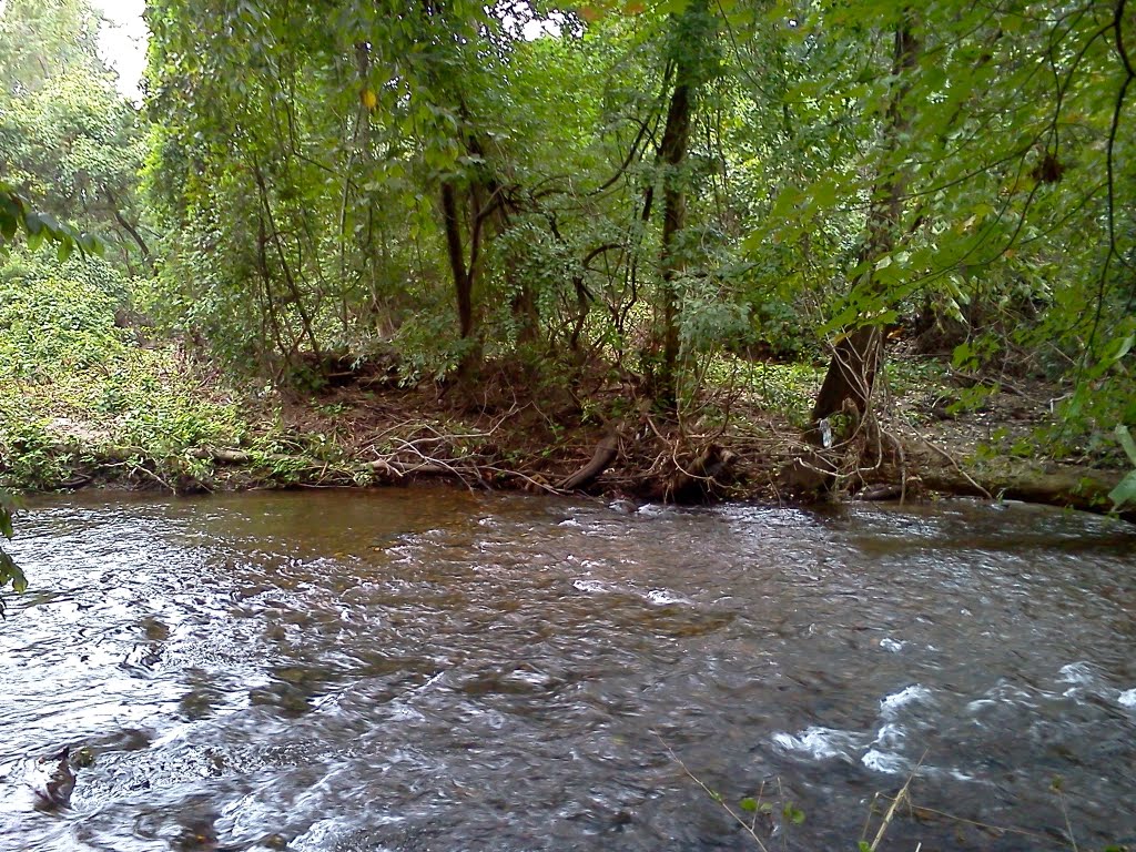 Darby Creek, Спрингфилд
