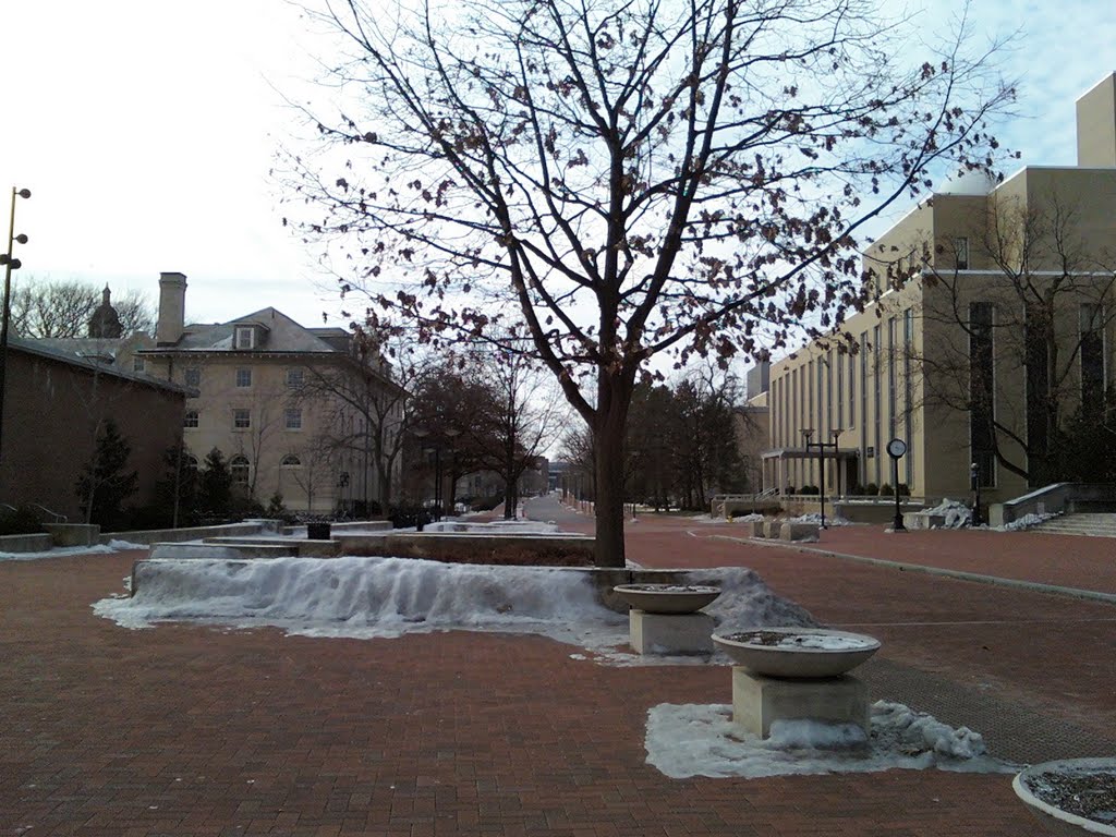 Penn State, Стейт-Колледж