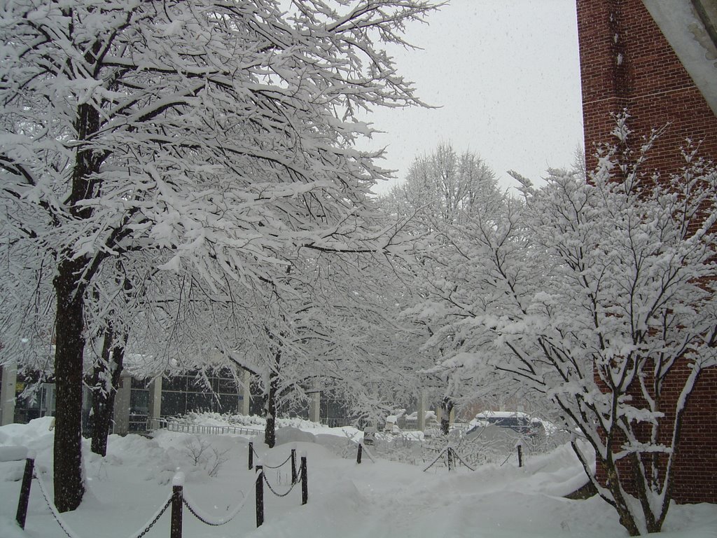 2003 winter from east halls, Стейт-Колледж