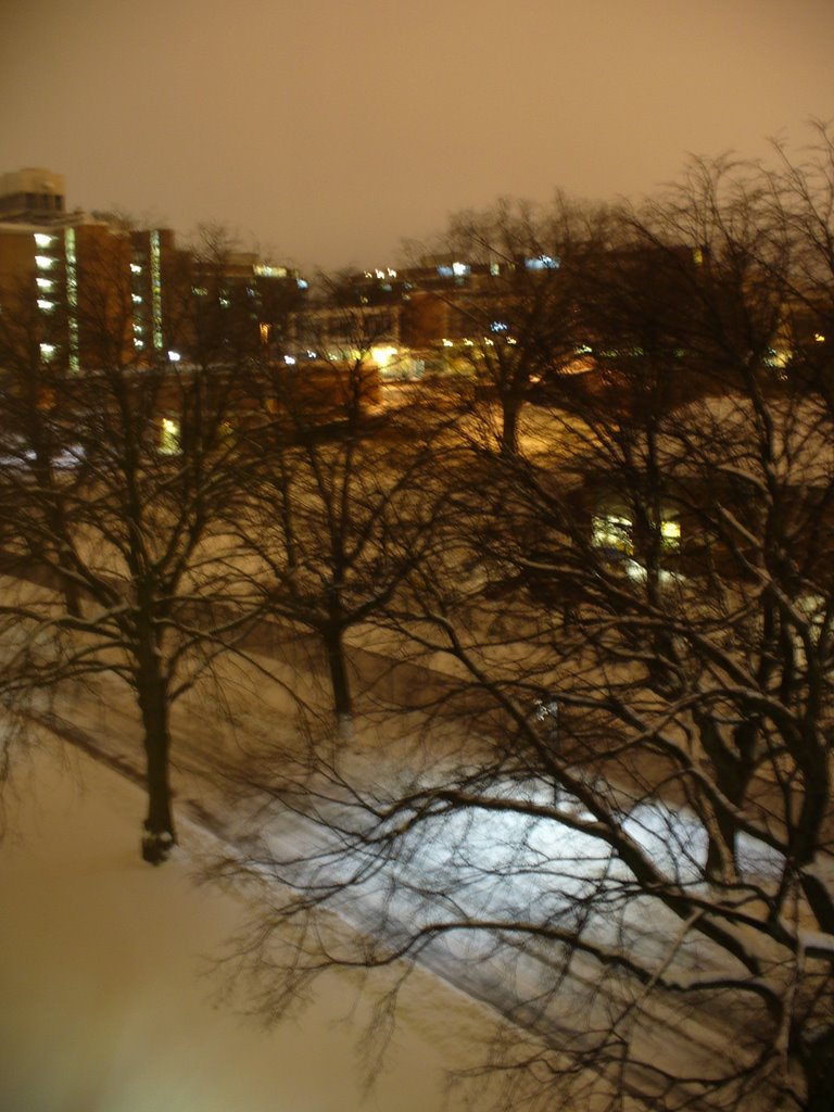 Winter Storm - Midnight - Penn State, Стейт-Колледж