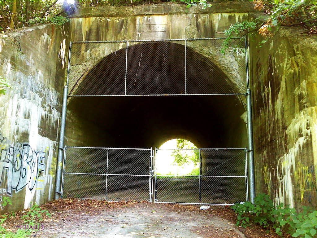 Snowden Tunnel 1929, Финливилл