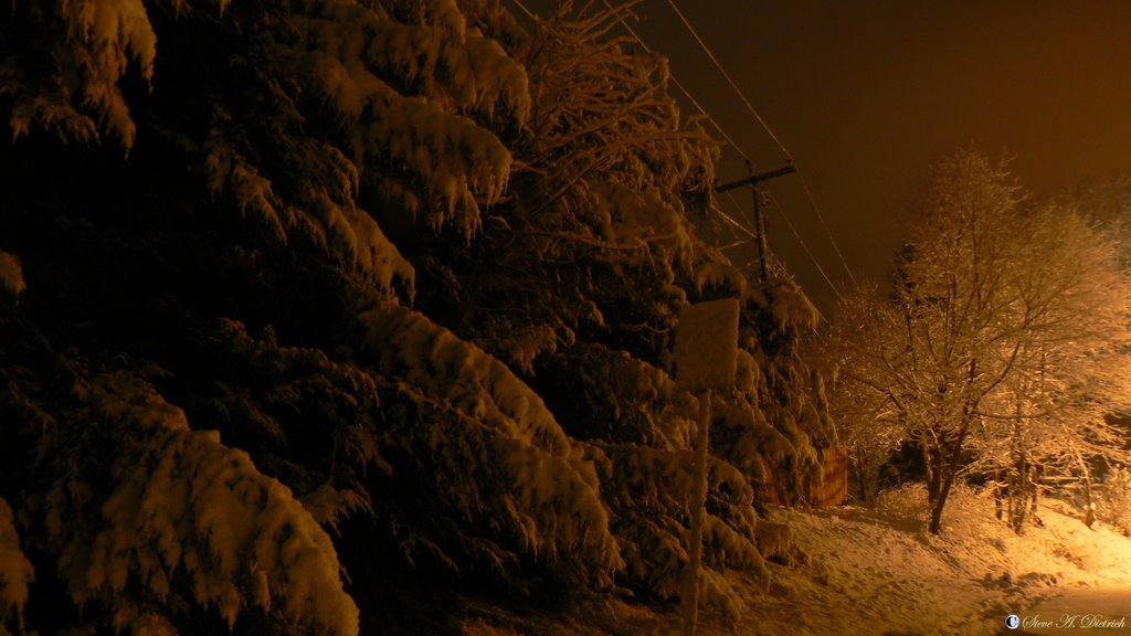 Midnight Snow - Snow covered trees, Sign, Power Lines - Lock Haven, PA, Флемингтон