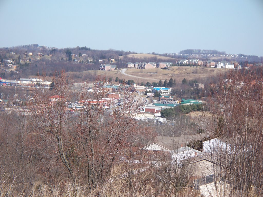 View of Peter Township, Хьюстон