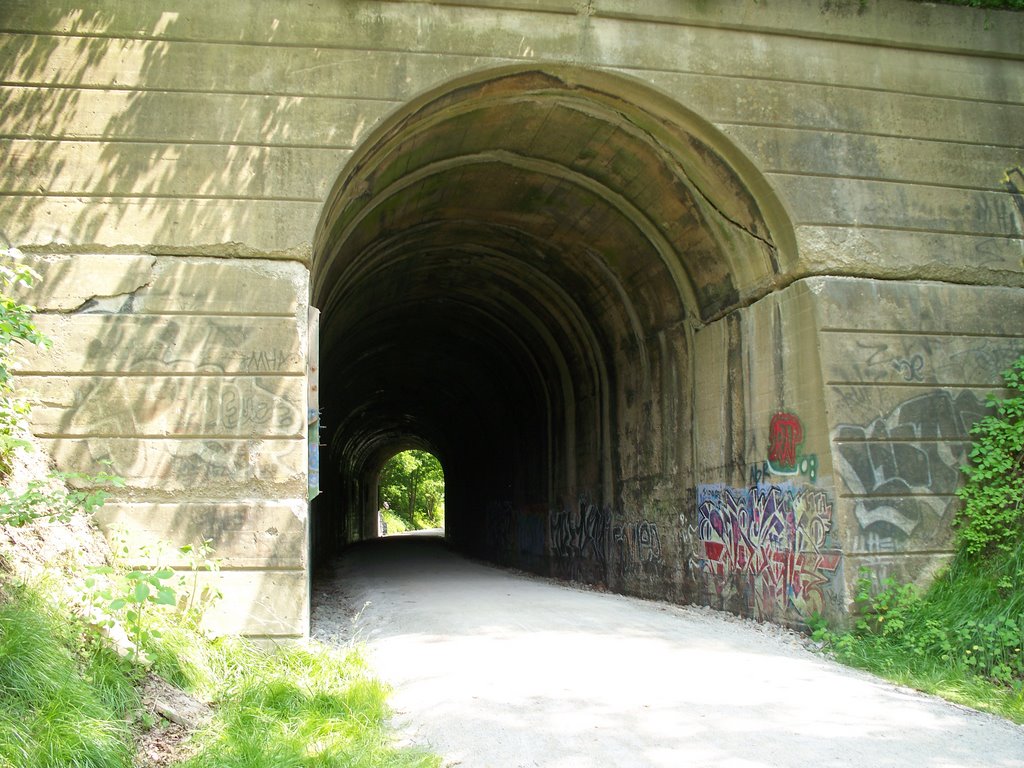 Greer Tunnel from South, Хьюстон