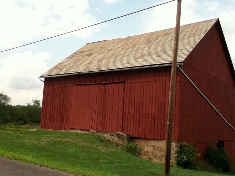 A barn in the country, Чикора