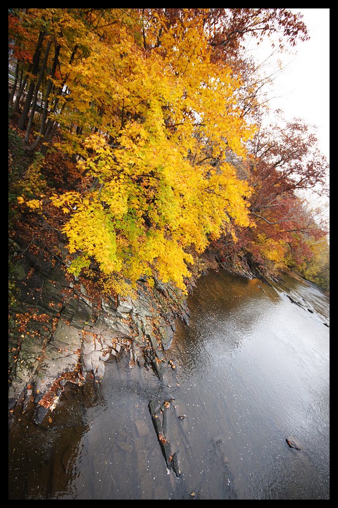 perkiomen creek in Fall, Швенксвилл