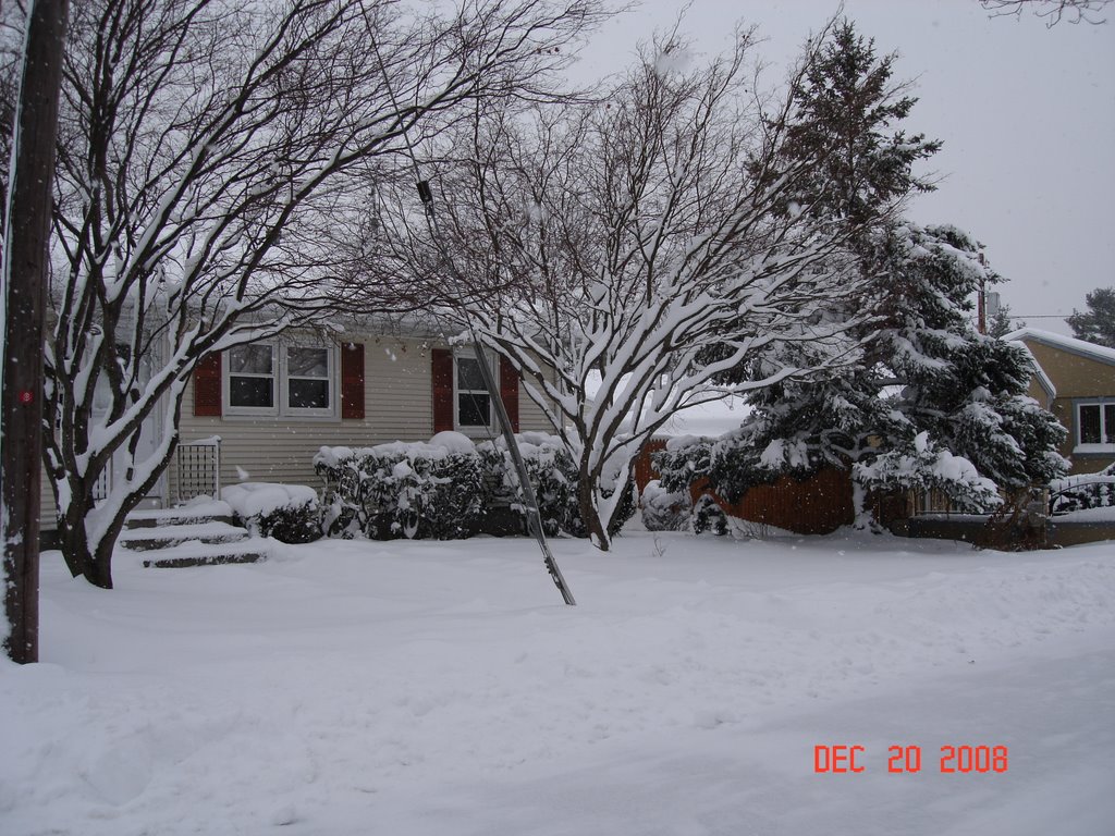 Snow on December 20, 2008 in East Providence, Ист-Провиденкс