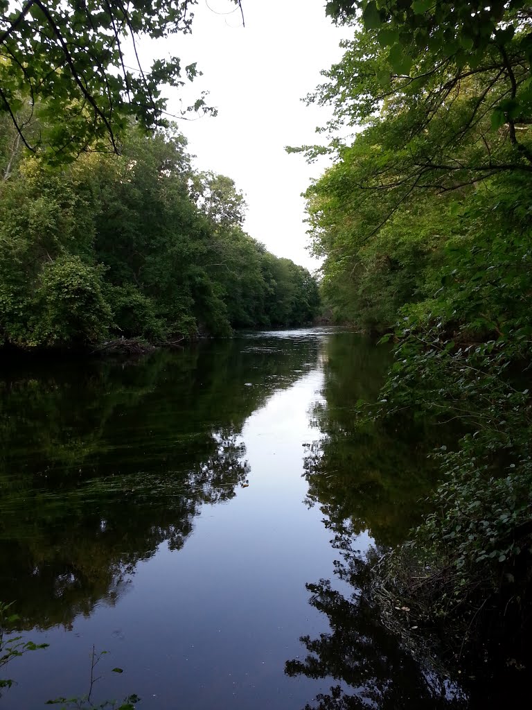 Downstream, Кранстон