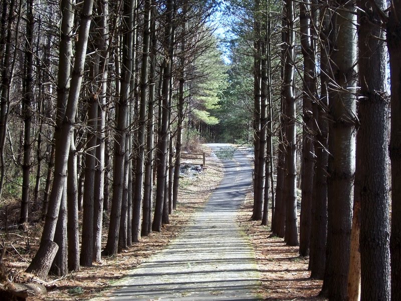 The Oaks Trail, Блак-Маунтайн