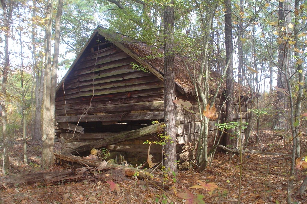 Old log shed, Горман