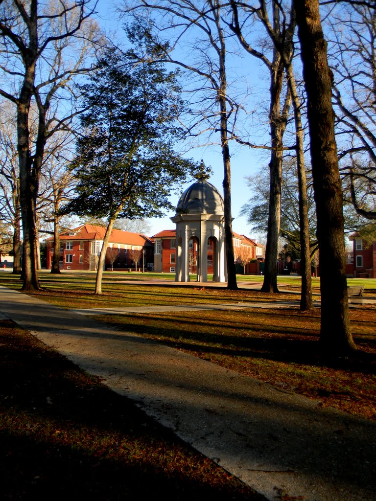 Center of campus, Гринвилл