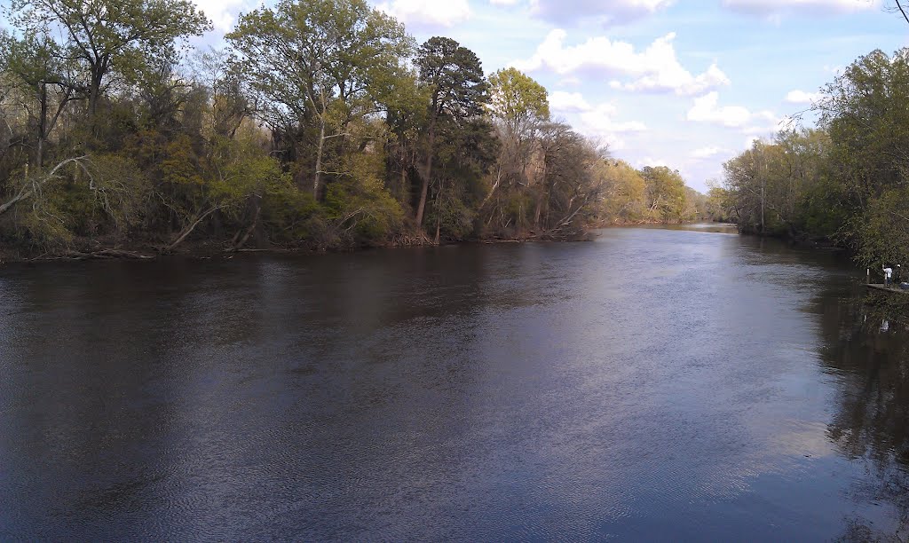 Tar River, Гринвилл