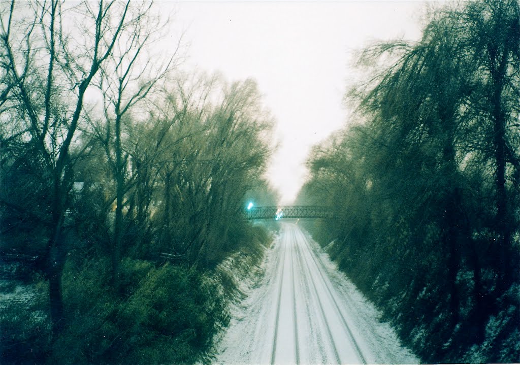 frozen tracks, Гринсборо