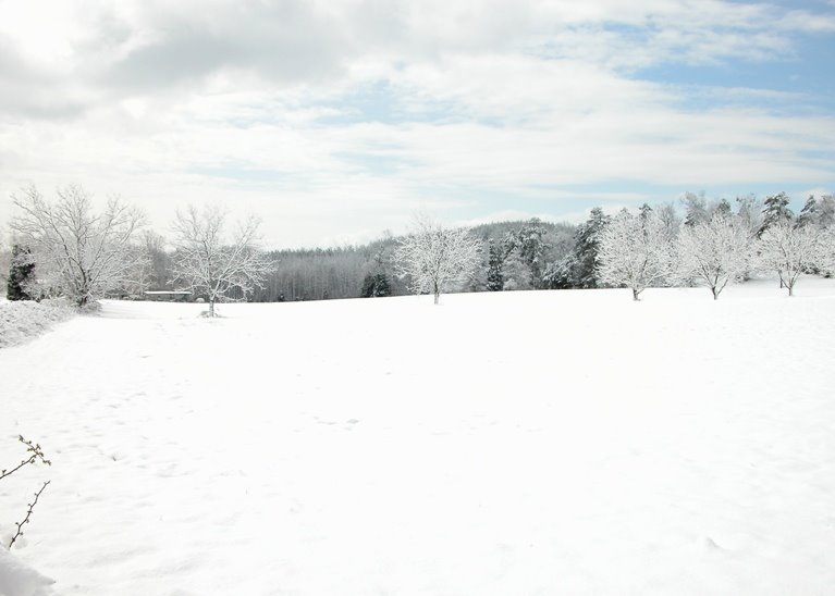 Uwharries in Winter Wonderland, Давидсон