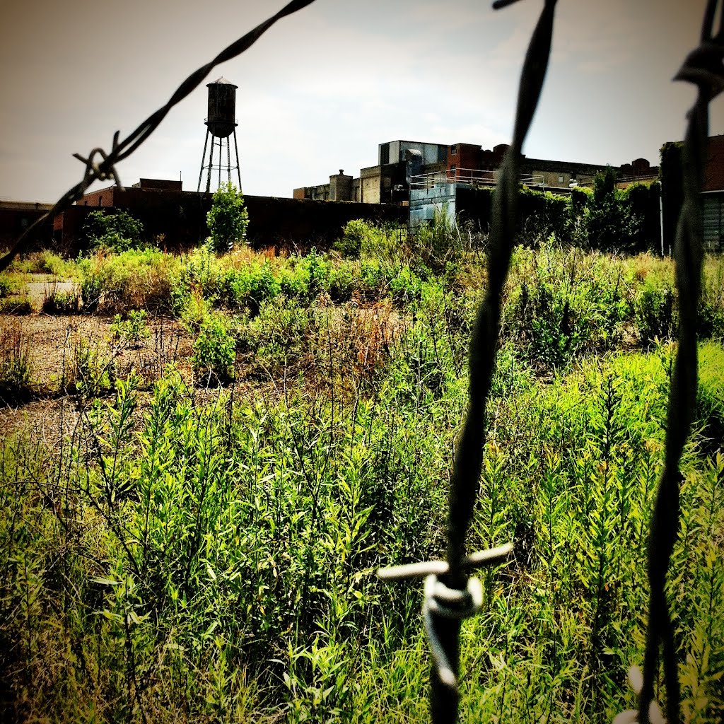 The old Doran Mill, Кливленд