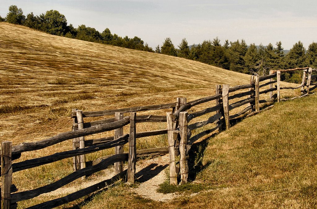 A City Boys Lesson About Gates: The Lump Overlook - Blue Ridge Pkwy, N Carolina, Кулими