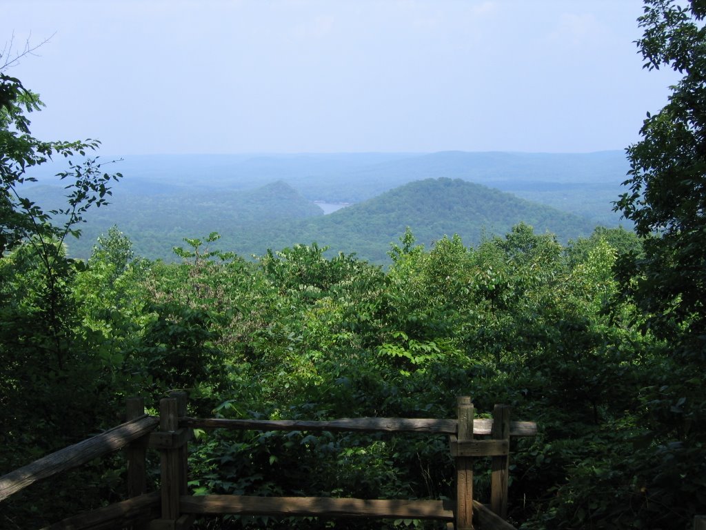 View From Morrow Mountain in Uwharries, Кулими