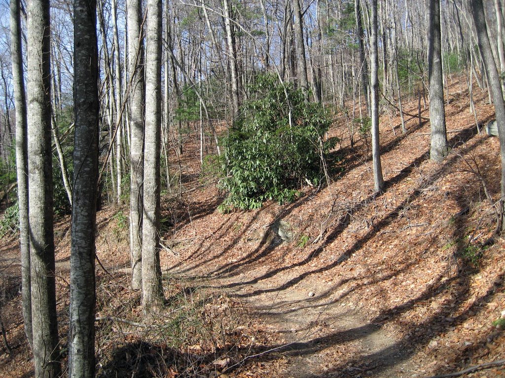 North Carolina Trail, Маунтайн-Хоум