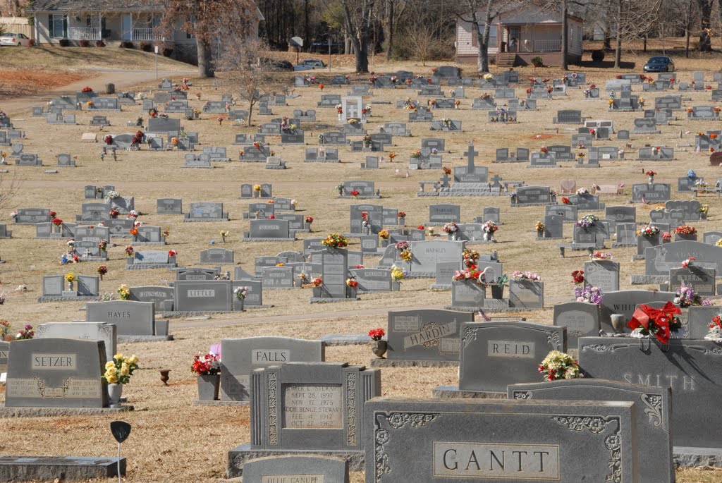 Fairview Cemetery, Hickory, North Carolina, Родхисс