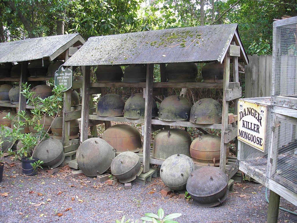 Largest private collection of wash pots: Gulleys Nursery, Саутерн-Пайнс