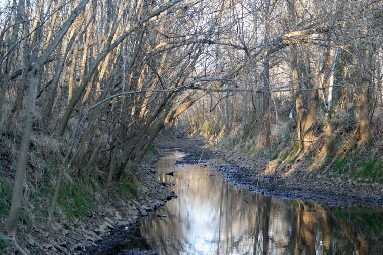 Creek, Сталлингс