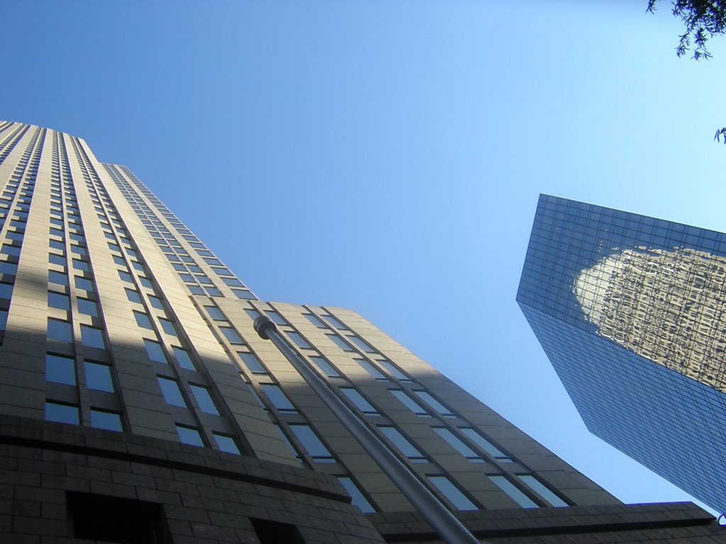 Looking Up At Bank Of America With Reflection, Шарлотт