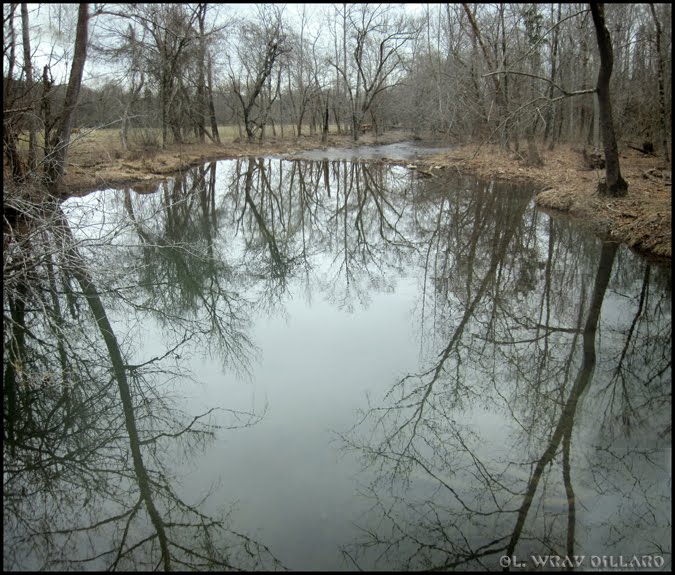 Little Butler Creek Reflections, Айрон-Сити