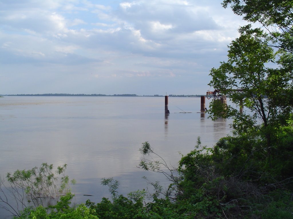 Mississippi River in June 2008, Аламо