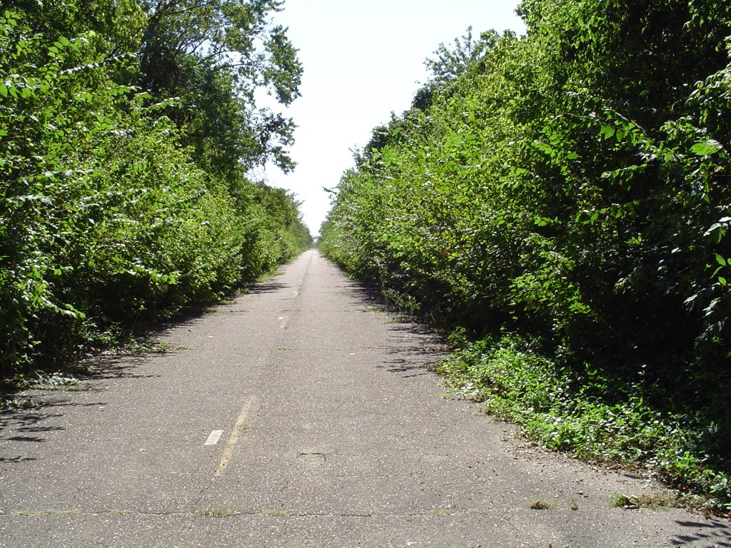 abandoned highway, Аламо