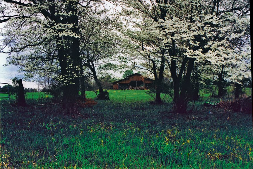 Barn surrounded by dogwood trees, Алгуд